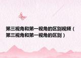 第三视角和第一视角的区别视频（第三视角和第一视角的区别）