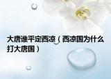 大唐谁平定西凉（西凉国为什么打大唐国）