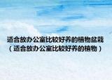 适合放办公室比较好养的植物盆栽（适合放办公室比较好养的植物）