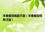 羊角蜜到底甜不甜（羊角蜜如何种才甜）