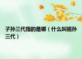 子孙三代指的是哪（什么叫祖孙三代）