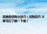 简单的训狗小技巧（训狗技巧 大家可以了解一下哦）
