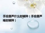 手捻葫芦什么时候种（手捻葫芦啥时候种）
