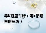 粤K哪里车牌（粤k是哪里的车牌）