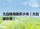 太白峰海拔多少米（太白峰在哪）