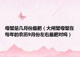 母蟹是几月份最肥（大闸蟹母蟹在每年的农历9月份左右最肥对吗）
