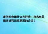 夜间照鱼用什么光好些（夜光鱼养殖方法和注意事项的介绍）