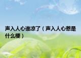 声入人心谁凉了（声入人心惹是什么梗）