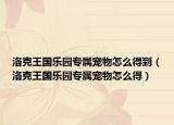 洛克王国乐园专属宠物怎么得到（洛克王国乐园专属宠物怎么得）