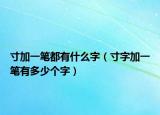 寸加一笔都有什么字（寸字加一笔有多少个字）