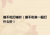 猪不吃打啥针（猪不吃食一般打什么针）