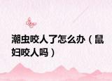 潮虫咬人了怎么办（鼠妇咬人吗）