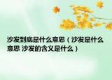 沙发到底是什么意思（沙发是什么意思 沙发的含义是什么）