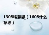 1308啥意思（1608什么意思）