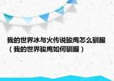 我的世界冰与火传说骏鹰怎么驯服（我的世界骏鹰如何驯服）