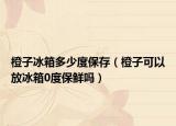 橙子冰箱多少度保存（橙子可以放冰箱0度保鲜吗）