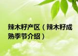 辣木籽产区（辣木籽成熟季节介绍）