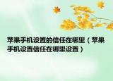 苹果手机设置的信任在哪里（苹果手机设置信任在哪里设置）
