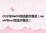 CO2与NaOH反应的方程式（naoh与co2反应方程式）