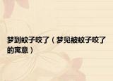 梦到蚊子咬了（梦见被蚊子咬了的寓意）