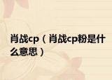 肖战cp（肖战cp粉是什么意思）