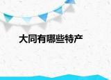 大同有哪些特产