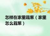 怎样在家里栽葱（家里怎么栽葱）