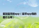鉴别翡翠的app（翡翠app指的是什么呢）