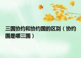 三国协约和协约国的区别（协约国是哪三国）