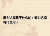 奉为达摩是干什么的（奉为达摩有什么用）