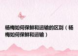 杨梅如何保鲜和运输的区别（杨梅如何保鲜和运输）