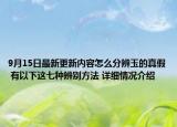 9月15日最新更新内容怎么分辨玉的真假 有以下这七种辨别方法 详细情况介绍