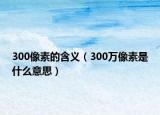 300像素的含义（300万像素是什么意思）