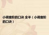 小调音阶的口诀 全半（小调音阶的口诀）