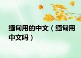 缅甸用的中文（缅甸用中文吗）