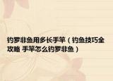 钓罗非鱼用多长手竿（钓鱼技巧全攻略 手竿怎么钓罗非鱼）