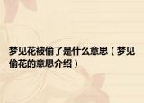 梦见花被偷了是什么意思（梦见偷花的意思介绍）