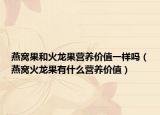 燕窝果和火龙果营养价值一样吗（燕窝火龙果有什么营养价值）