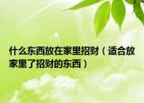 什么东西放在家里招财（适合放家里了招财的东西）