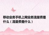 移动业务手机上网业务流量费是什么（流量费是什么）
