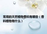 常用的天然植物香料有哪些（香料植物有什么）