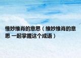 惟妙维肖的意思（维妙维肖的意思 一起掌握这个成语）