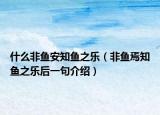 什么非鱼安知鱼之乐（非鱼焉知鱼之乐后一句介绍）