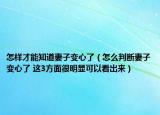 怎样才能知道妻子变心了（怎么判断妻子变心了 这3方面很明显可以看出来）