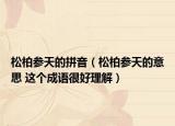 松柏参天的拼音（松柏参天的意思 这个成语很好理解）