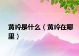黄岭是什么（黄岭在哪里）