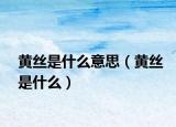 黄丝是什么意思（黄丝是什么）