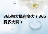36b胸大概有多大（36b胸多大啊）