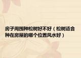 房子周围种松树好不好（松树适合种在房屋的哪个位置风水好）