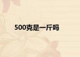 500克是一斤吗